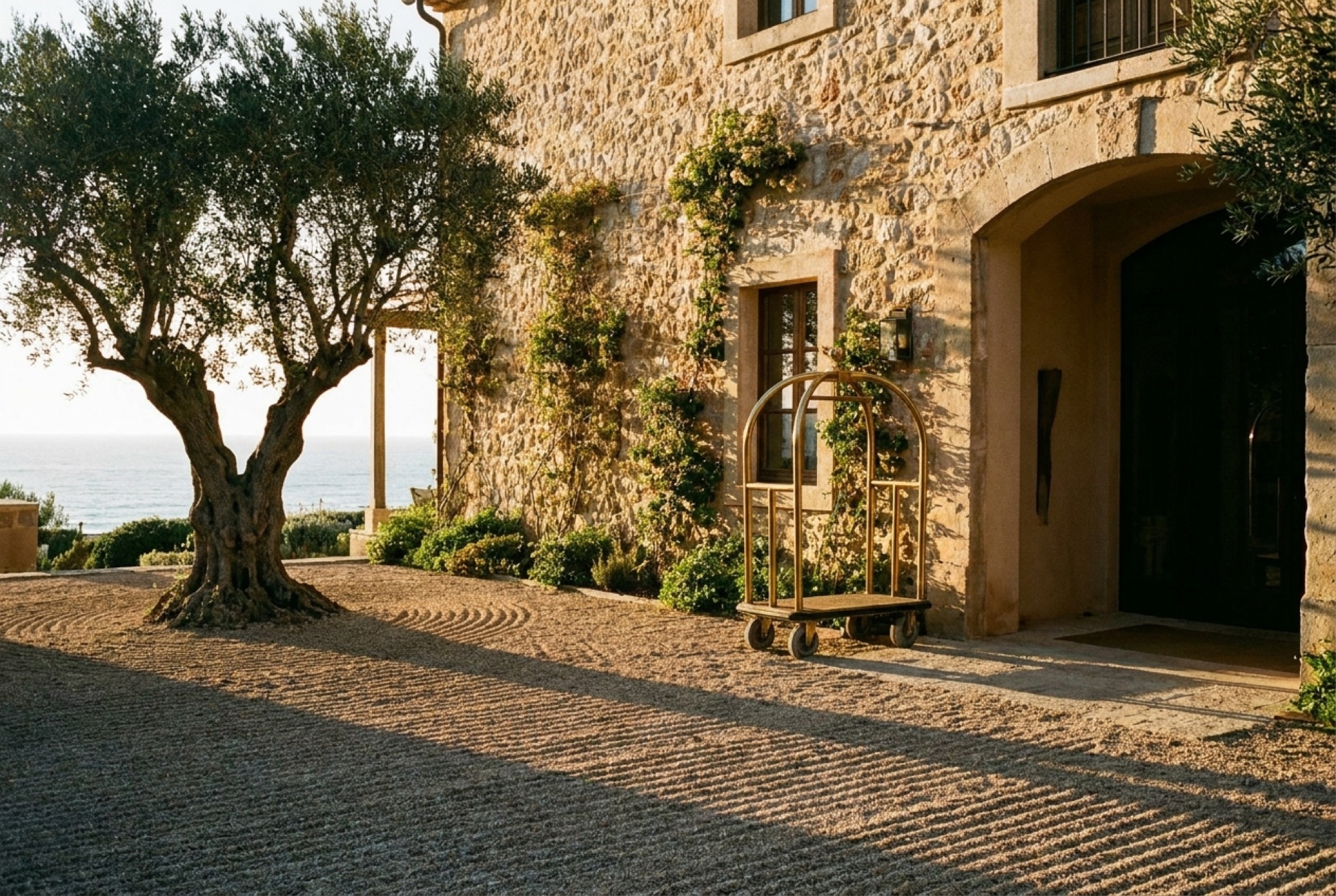 The stone arrival court of a coastal hotel at golden hour, an olive tree and brass luggage cart in low sun