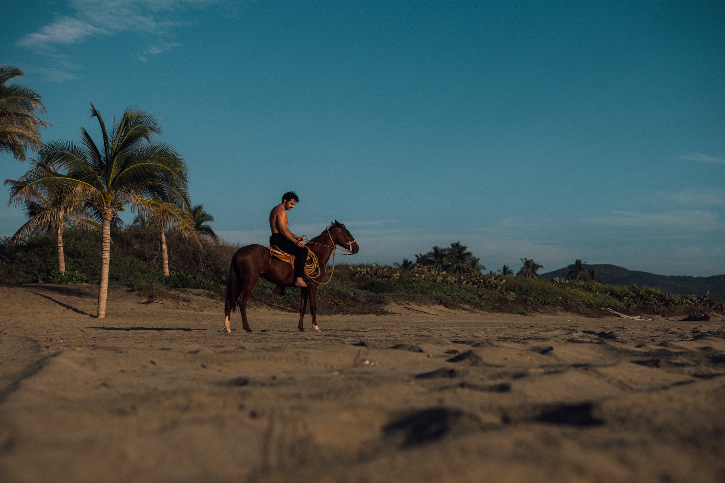 A rider on horseback on an empty beach at golden hour with palms behind