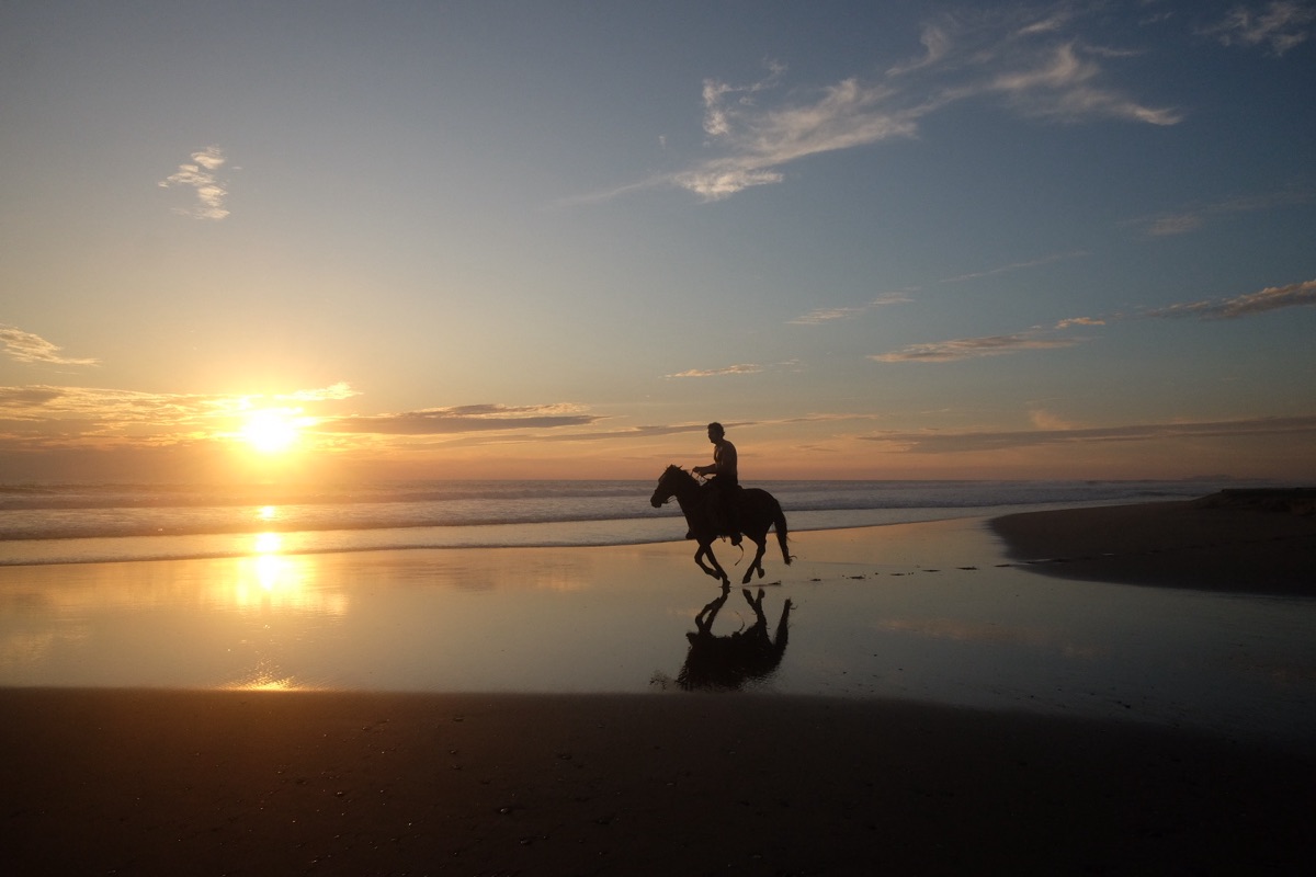 A rider galloping along the shoreline at sunset