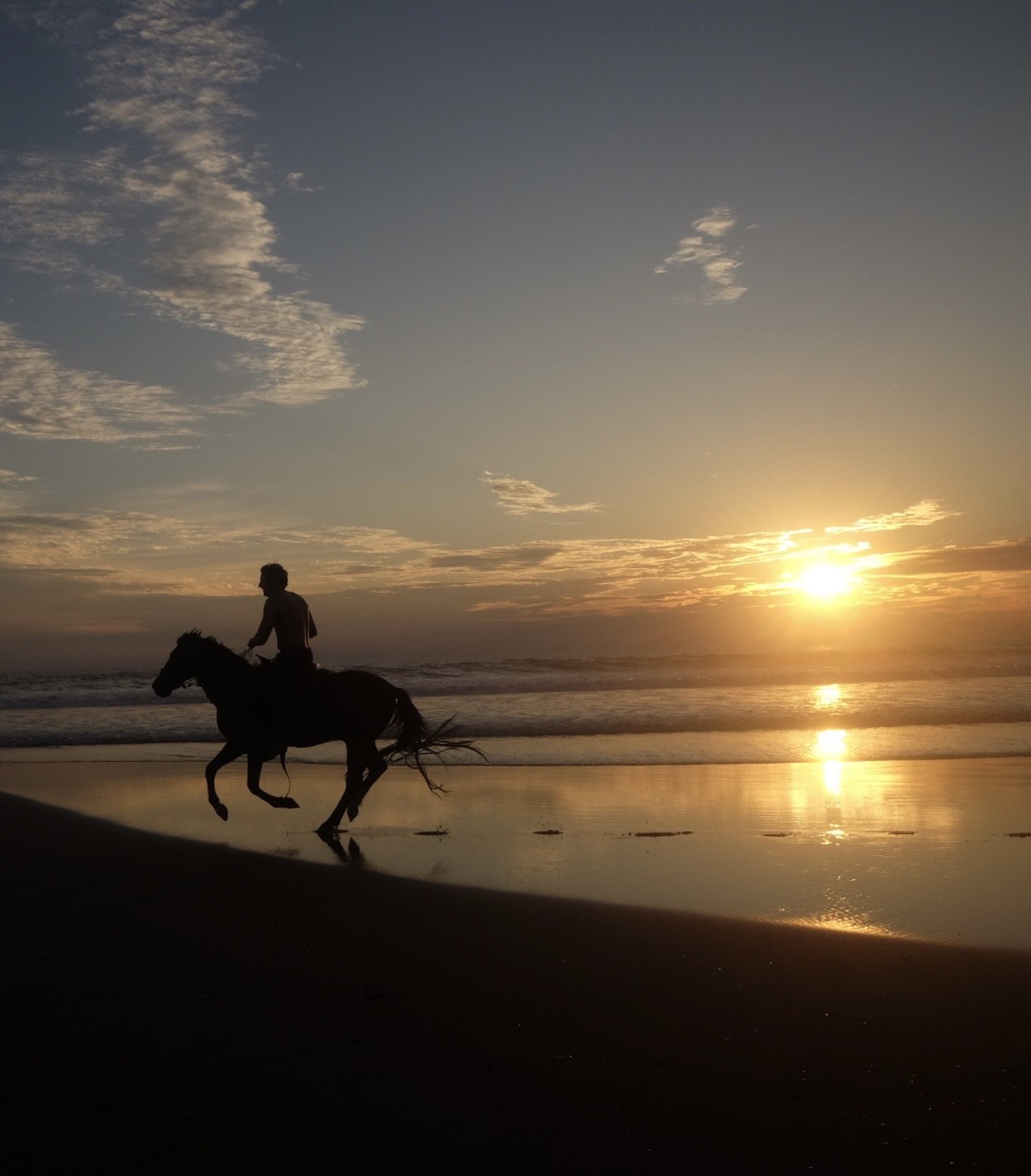 A rider galloping at sunset, vertical framing